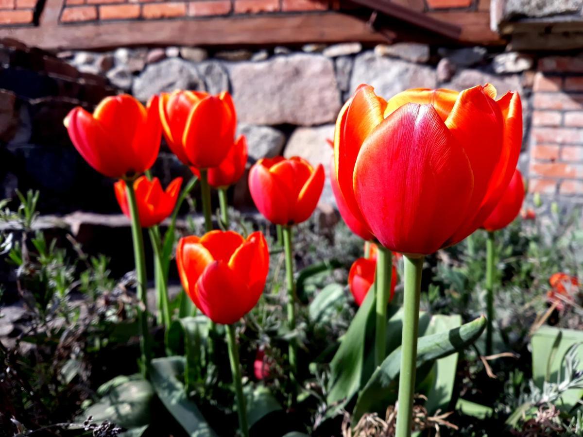 Bed & Breakfast Targowski Dwor Mazury *