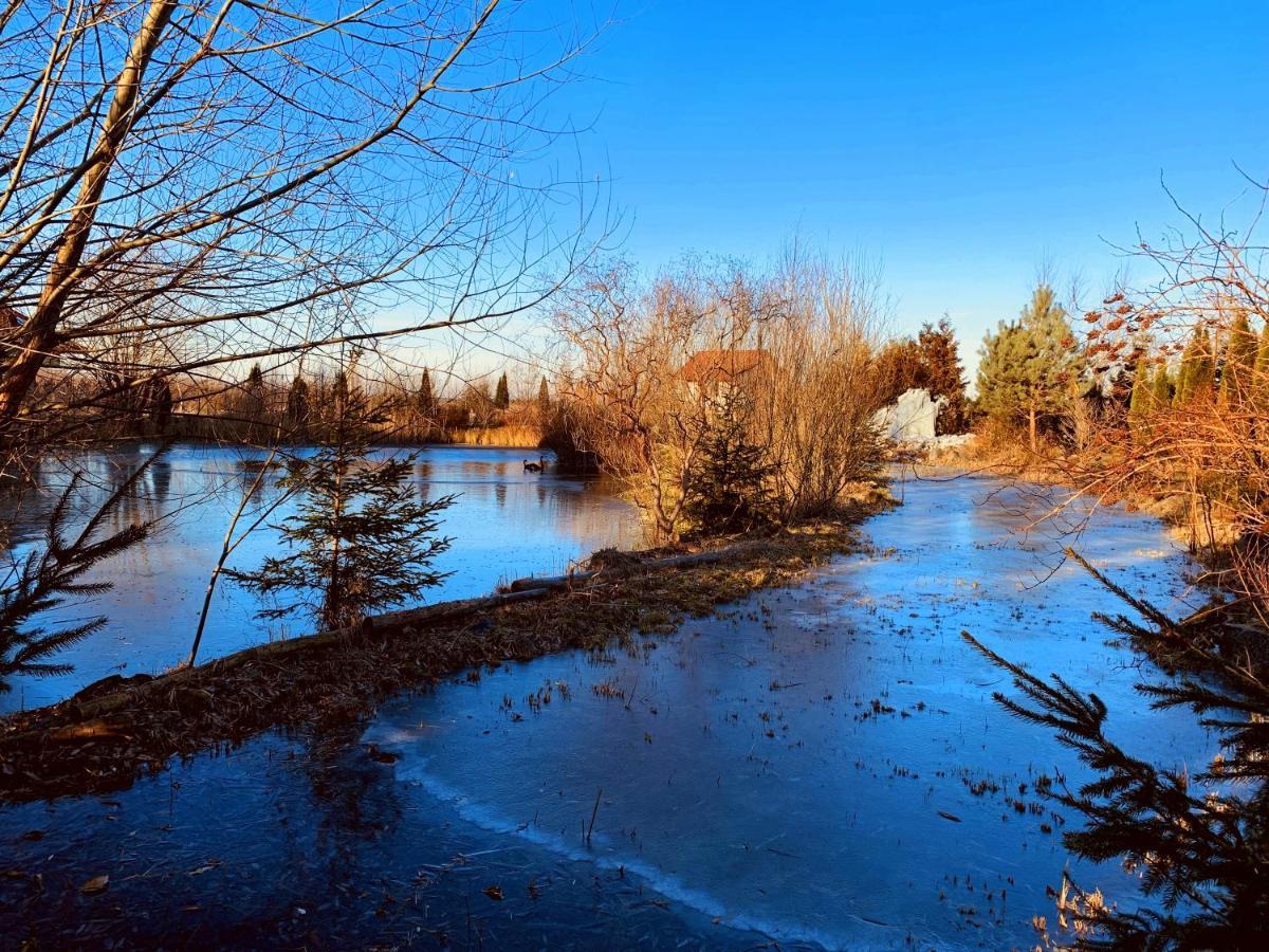 Bed & Breakfast Targowski Dwor Mazury Dzwierzuty